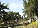 photo thumbnail #14