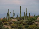 photo thumbnail #11