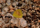 photo thumbnail #15