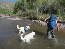 photo thumbnail #5