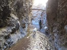 photo thumbnail #12