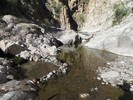 photo thumbnail #15