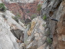 photo thumbnail #4