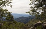 photo thumbnail #4