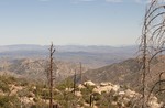 photo thumbnail #13