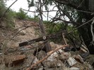 photo thumbnail #2