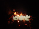 photo thumbnail #2