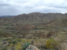 photo thumbnail #3