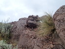 photo thumbnail #15