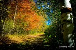 photo thumbnail #4