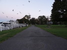 photo thumbnail #2