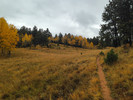 photo thumbnail #2