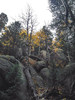 photo thumbnail #8
