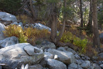 photo thumbnail #14