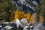photo thumbnail #15