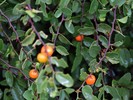 Featured Detail Photo