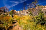 photo thumbnail #5