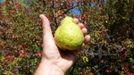 photo thumbnail #6