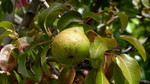 photo thumbnail #7
