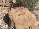 photo thumbnail #1