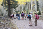 photo thumbnail #8