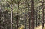 photo thumbnail #1