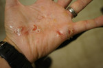 photo thumbnail #13
