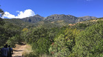 photo thumbnail #1