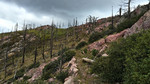 photo thumbnail #8