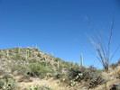 photo thumbnail #3