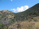 photo thumbnail #11