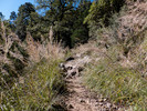 photo thumbnail #1