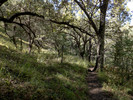 photo thumbnail #15