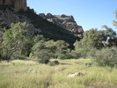 photo thumbnail #13