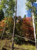 photo thumbnail #12