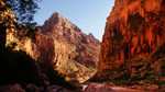 photo thumbnail #12