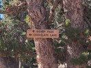 photo thumbnail #12