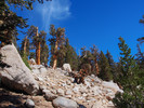 photo thumbnail #4