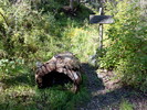 photo thumbnail #3