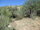 photo thumbnail #12