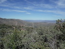 photo thumbnail #4