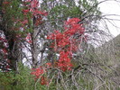 photo thumbnail #12