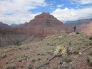 photo thumbnail #11