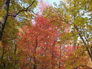 photo thumbnail #13