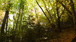 photo thumbnail #14