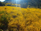 photo thumbnail #15