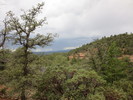 photo thumbnail #7