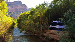 photo thumbnail #12