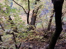 photo thumbnail #11