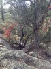 photo thumbnail #1